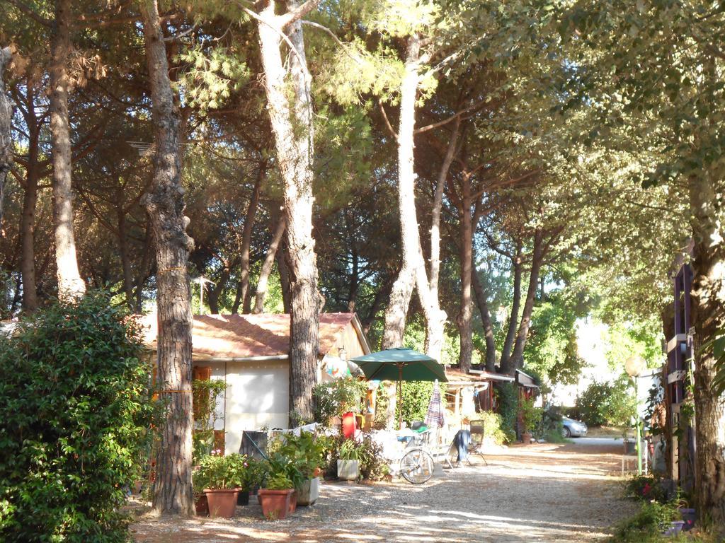 Hotel Iron Gate Marina3B Sarzana Esterno foto